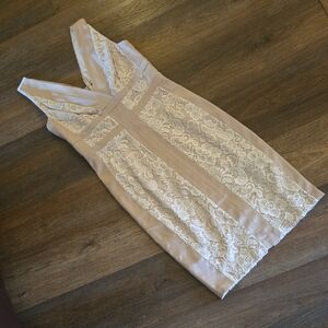 Jax Satin And Lace Blush Dress